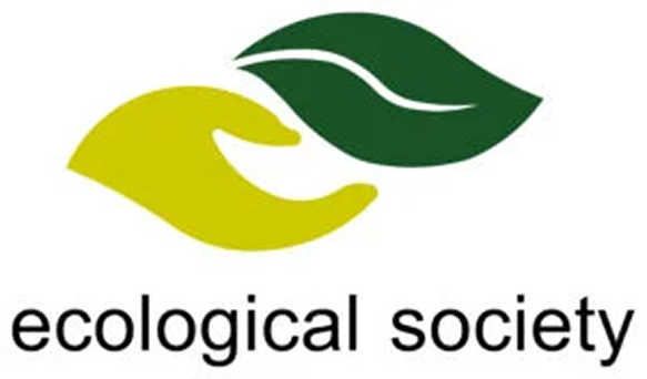 Knowledge logo