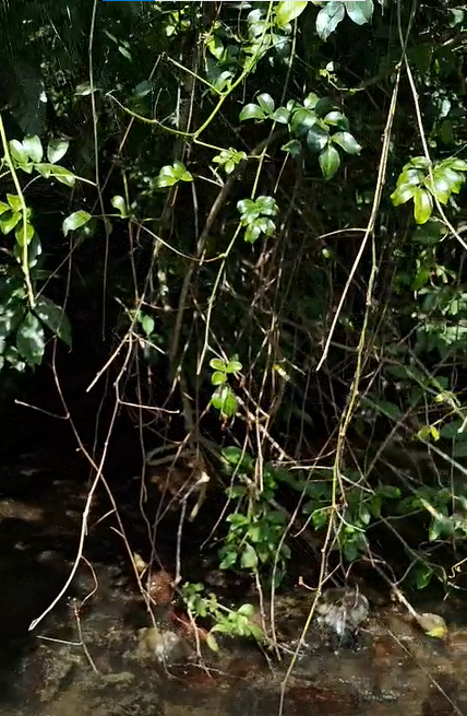 waste water management 2