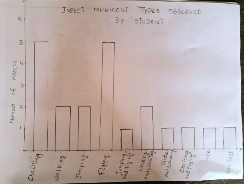 Insect survey 5
